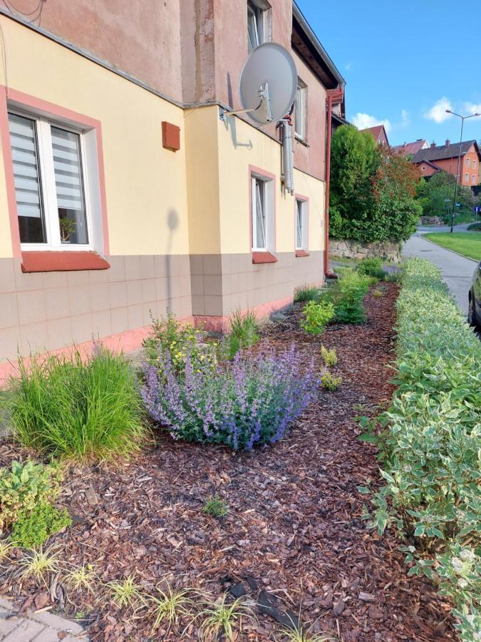 Apartament Rosiczka Duszniki Zdrój Exterior foto
